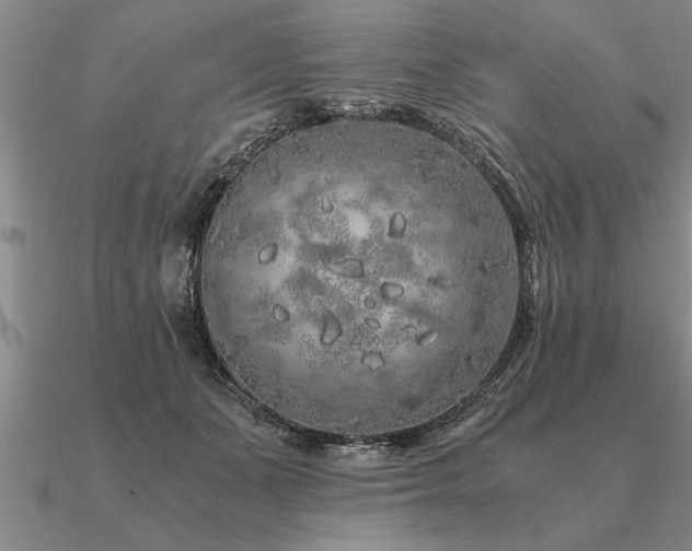 X0000091100511200708061422