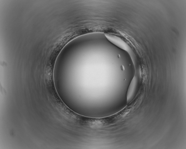 X0000091100513200708061422