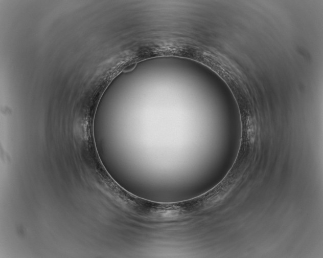 X0000091100514200708061422