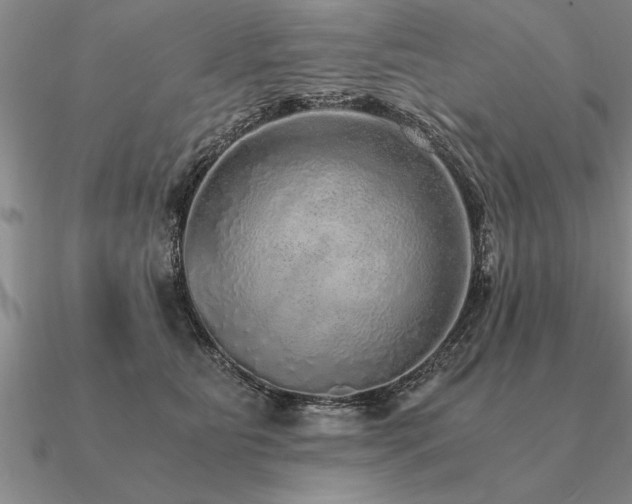 X0000091100515200708061422