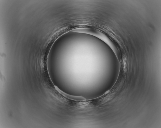 X0000091100516200708061422