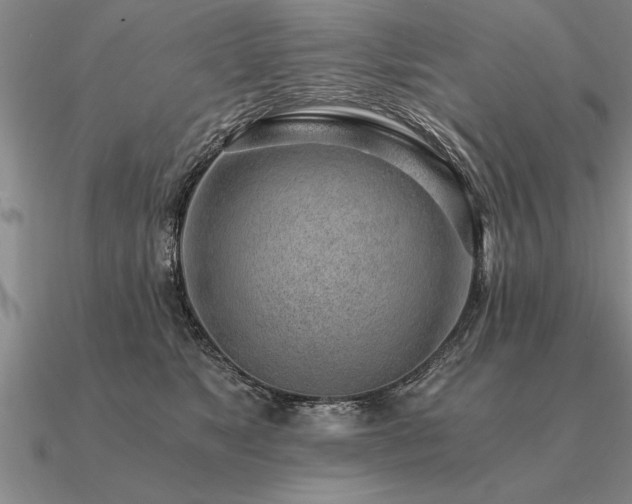 X0000091100517200708061422