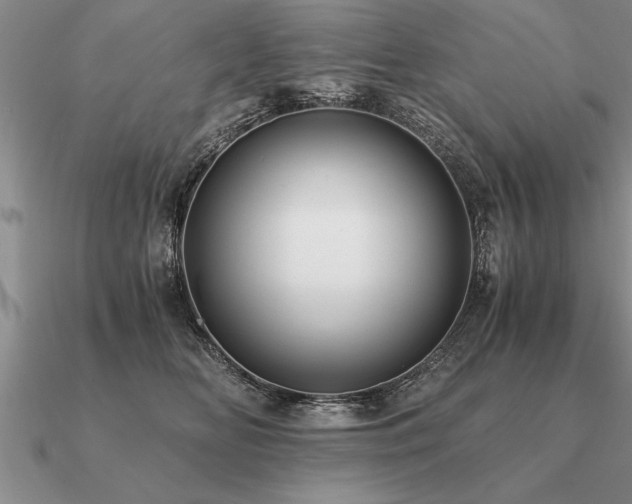 X0000091100518200708061422