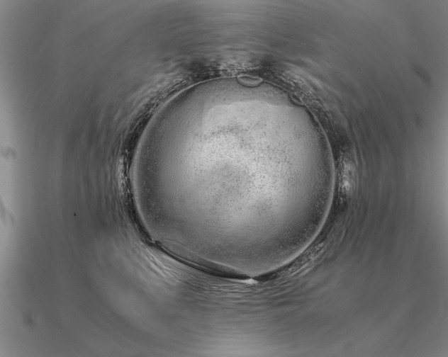 X0000091100519200708061422