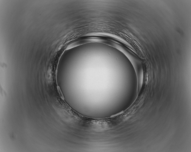 X0000091100520200708061422