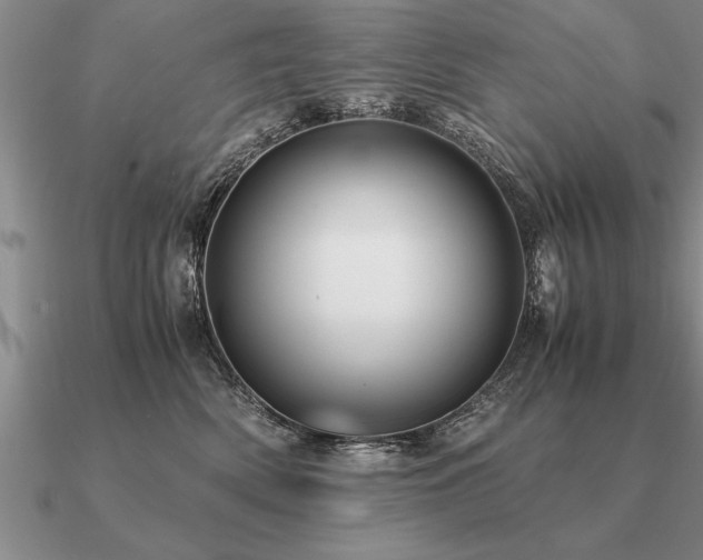 X0000091100522200708061422