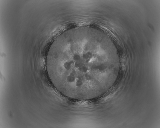 X0000091100523200708061422