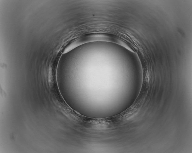 X0000091100524200708061422