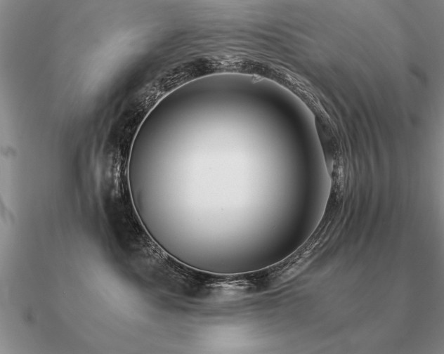 X0000091100525200708061422