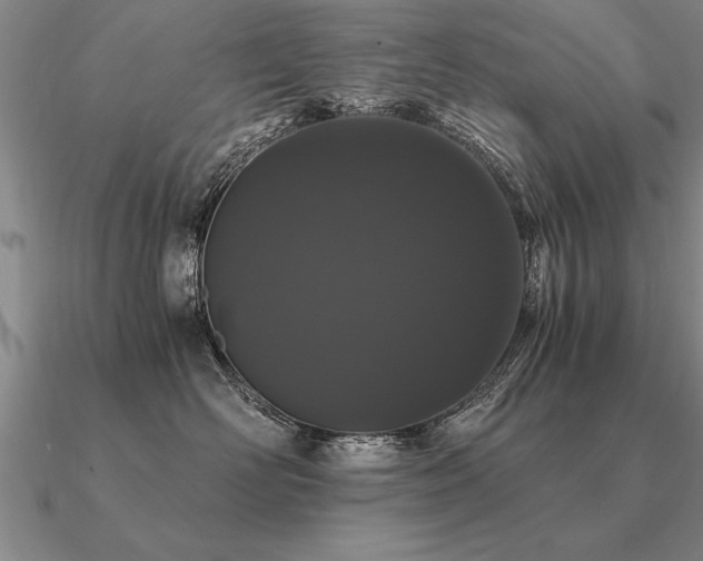 X0000091100526200708061422