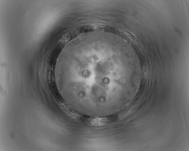 X0000091100527200708061422