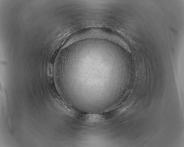 X0000091100528200708061422