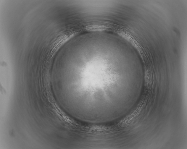 X0000091100529200708061422