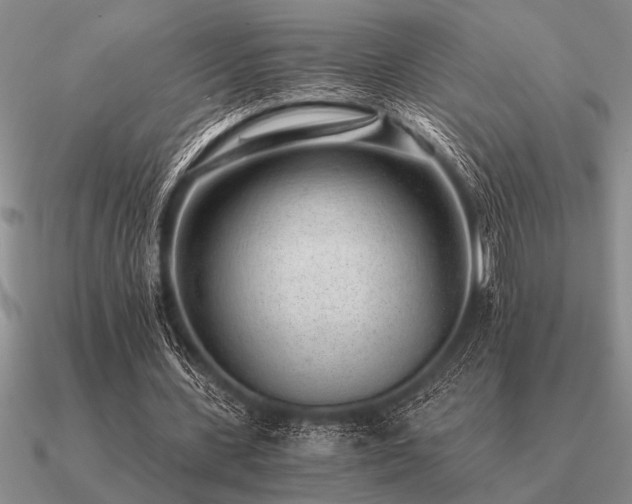 X0000091100531200708061422