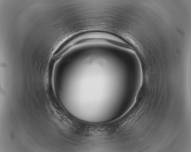 X0000091100532200708061422