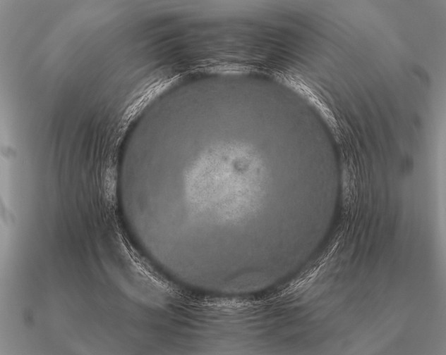 X0000091100533200708061422