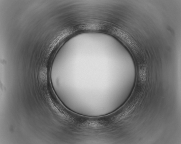 X0000091100534200708061422