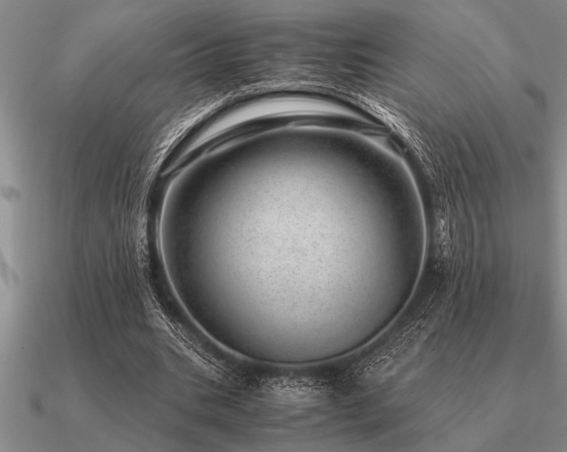 X0000091100535200708061422