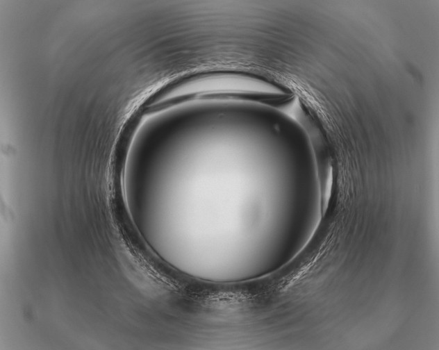 X0000091100536200708061422