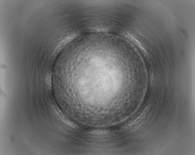 X0000091100537200708061422