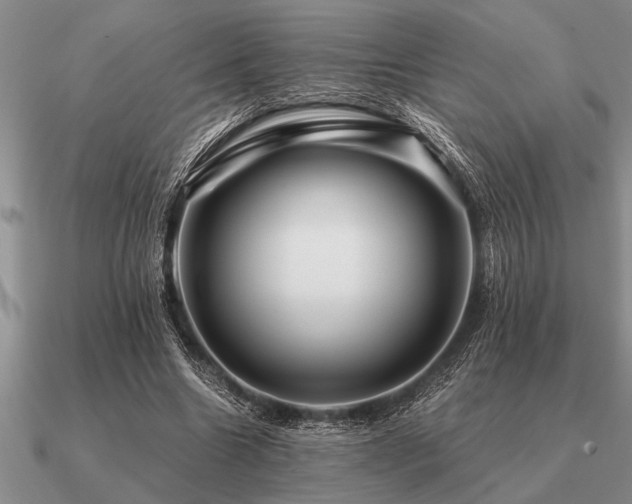 X0000091100538200708061422