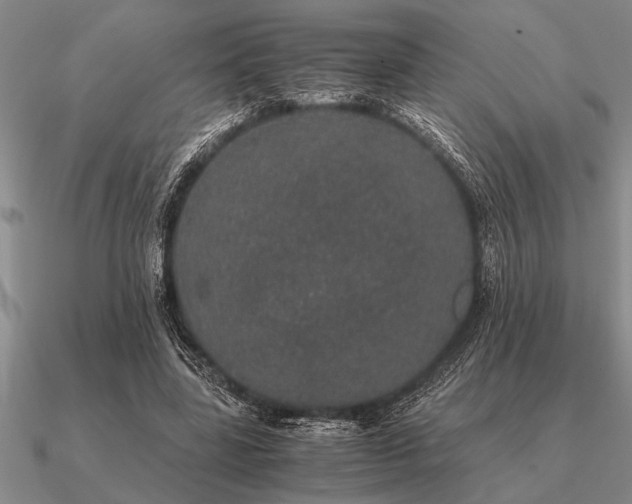 X0000091100539200708061422