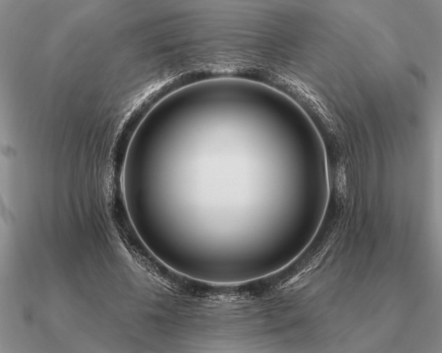 X0000091100540200708061422