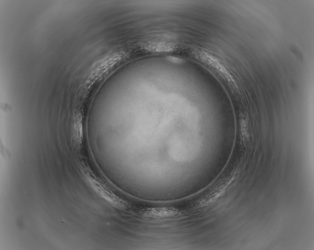 X0000091100541200708061422