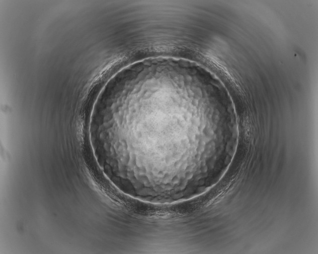 X0000091100542200708061422