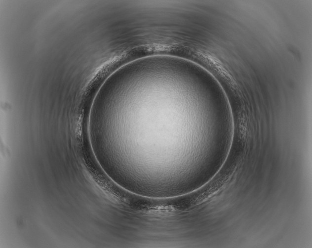 X0000091100543200708061422