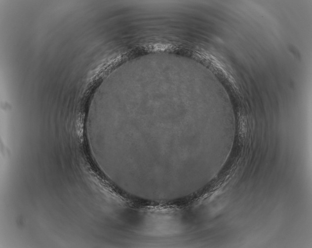 X0000091100545200708061422