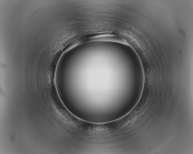 X0000091100546200708061422