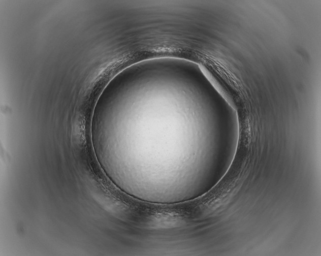 X0000091100547200708061422