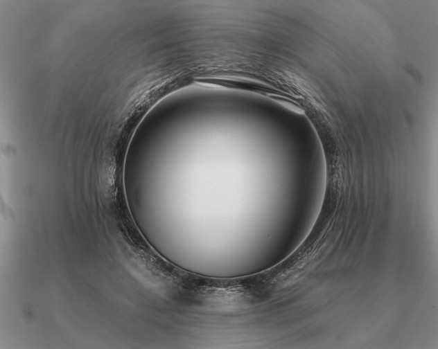 X0000091100548200708061422