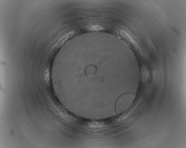 X0000091100549200708061422