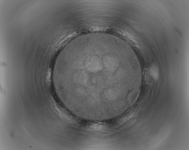 X0000091100550200708061422