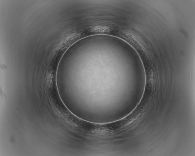 X0000091100551200708061422