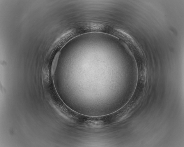 X0000091100552200708061422