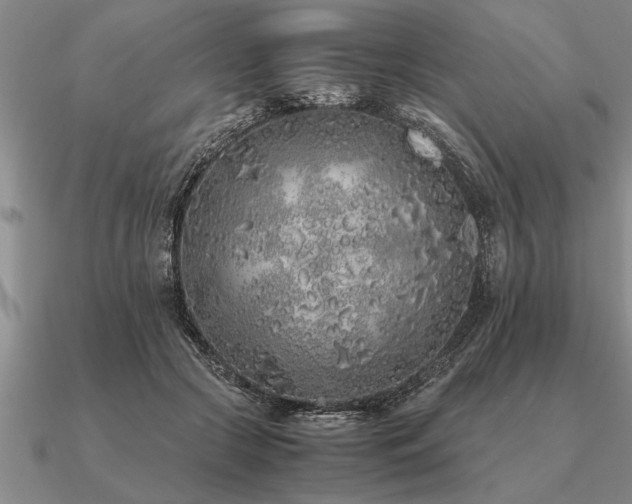 X0000091100553200708061422