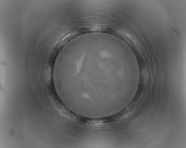 X0000091100554200708061422