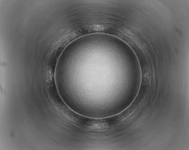 X0000091100555200708061422