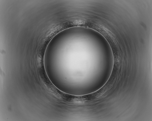 X0000091100556200708061422