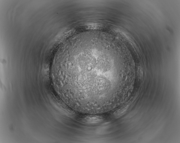 X0000091100557200708061422