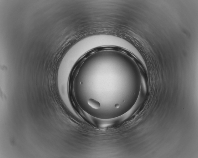 X0000091100558200708061422