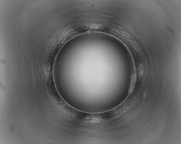 X0000091100559200708061422