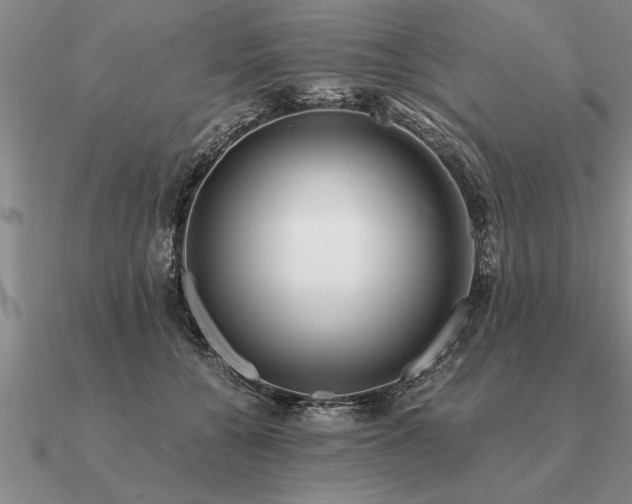 X0000091100560200708061422