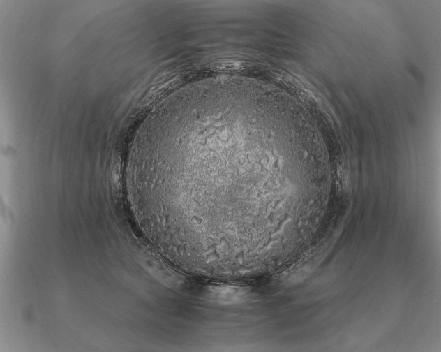 X0000091100561200708061422