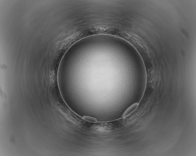 X0000091100563200708061422