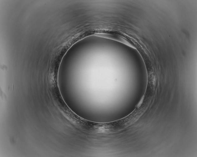 X0000091100564200708061422