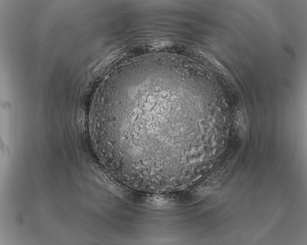 X0000091100565200708061422